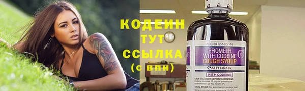 гидра Ельня