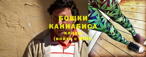 экстази Пересвет