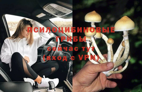 первитин Осташков