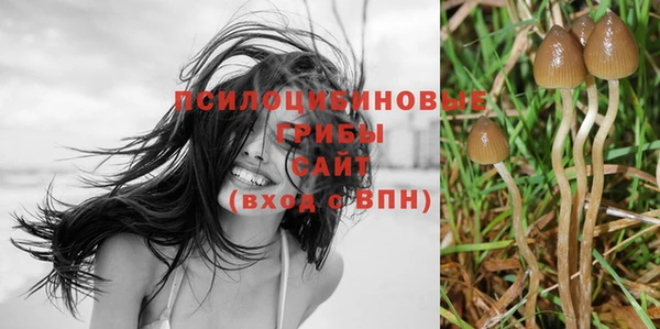 мяу мяу кристалл Осинники