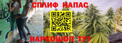 гидра Заводоуковск