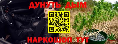 прущие крисы Бийск