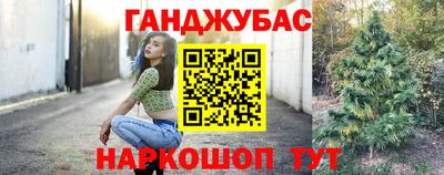 гидра Заводоуковск