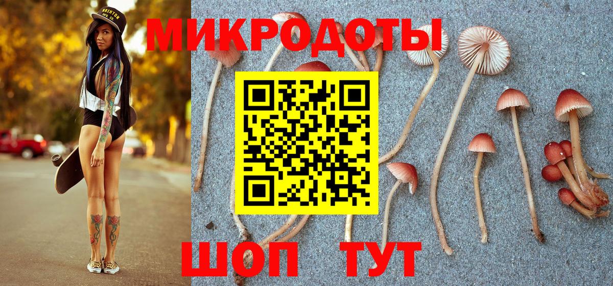 Коммунар  Галлюциногенные грибы прущие грибы  Вход с VPN  Галлюциногенные грибы Psilocybe 
